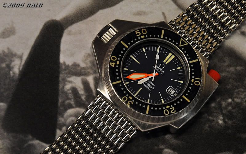 Show your Battered & Bashed divers WatchUSeek Watch Forums